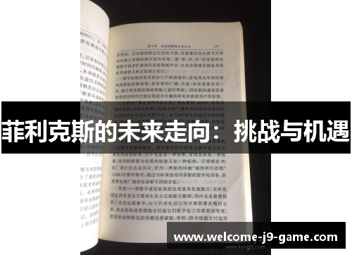 菲利克斯的未来走向：挑战与机遇
