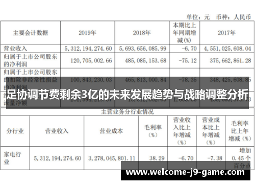 足协调节费剩余3亿的未来发展趋势与战略调整分析